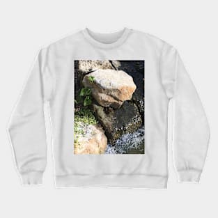 Frog Crewneck Sweatshirt